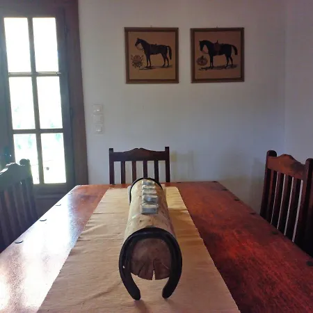 Platanos * ヴァシリキ