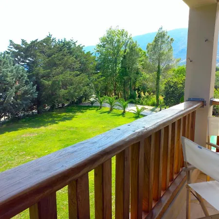 Platanos * ヴァシリキ