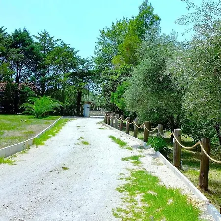 Platanos Nyaraló Vaszilikí