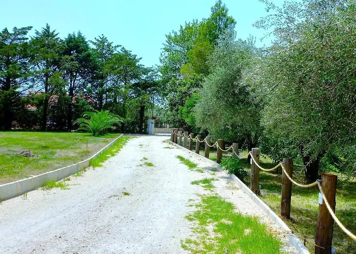 Platanos بيت للعطل فاسيليكي